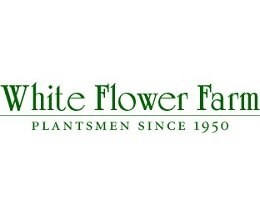 White Flower Farm Coupon Codes Save 50 With May 2020 Coupons