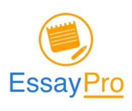 pro essay writing discount code