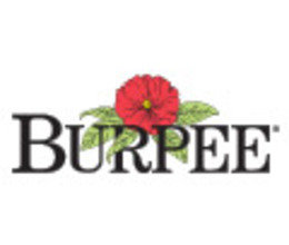 Burpee Coupon Codes Save 20 W May 20 Coupons Promo Codes