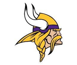 40% Off Minnesota Vikings - Official Team Store Promos - Sep. 2023