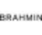 brahmin.com